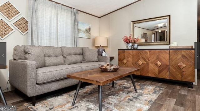 living room featuring ornamental molding and dark wood-type flooring