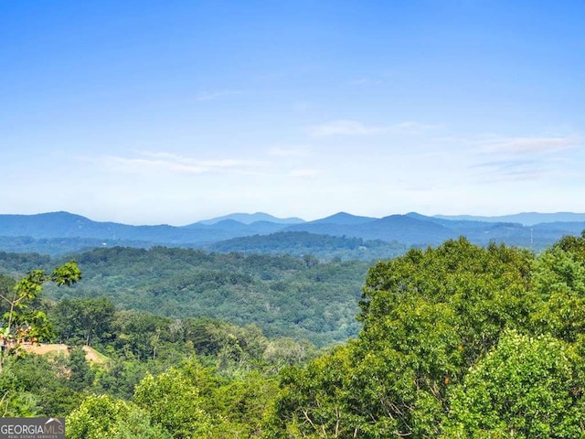 view of mountain feature