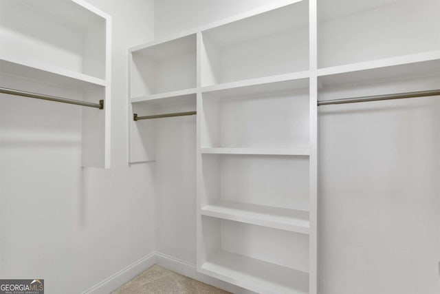 spacious closet featuring carpet flooring