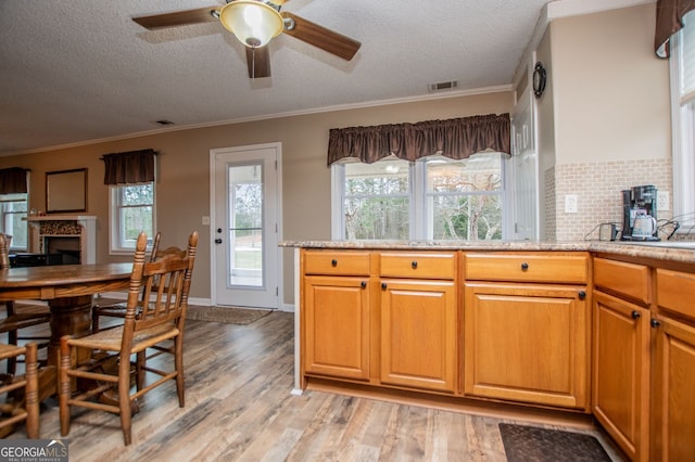 kitchen featuring ceiling fan, light wood-type flooring, tasteful backsplash, a textured ceiling, and ornamental molding