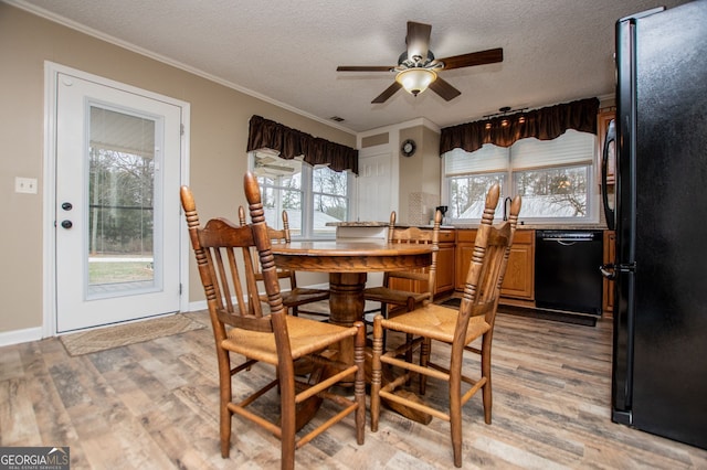 dining area with light wood-type flooring, crown molding, and a textured ceiling