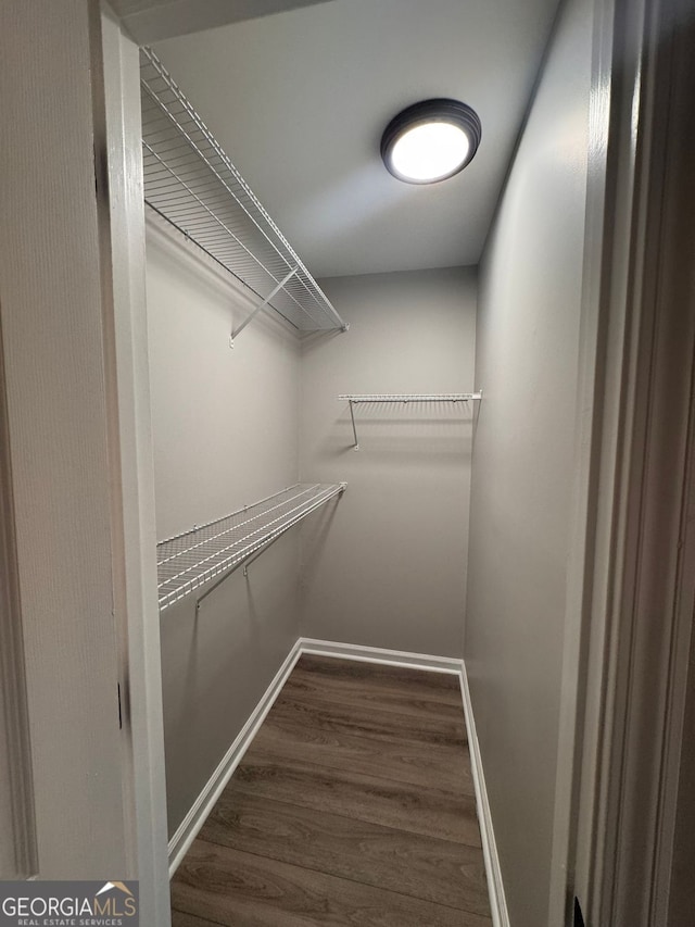 spacious closet featuring dark hardwood / wood-style floors