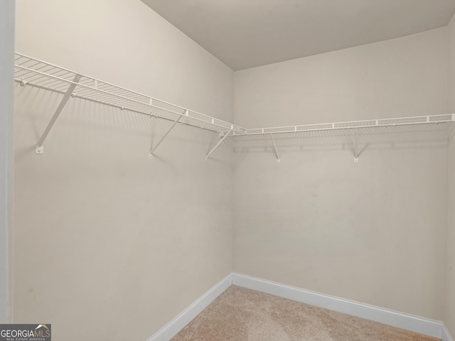 walk in closet featuring carpet