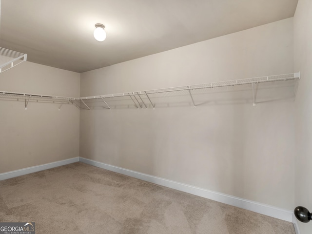 walk in closet with light carpet