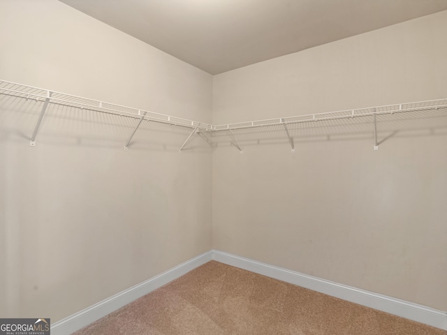 walk in closet with carpet floors