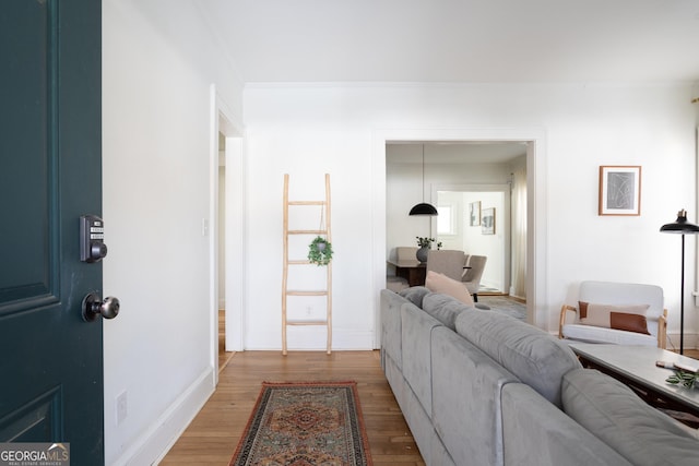 living room featuring crown molding and hardwood / wood-style flooring