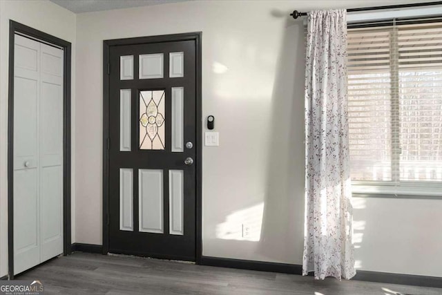 entrance foyer with wood-type flooring