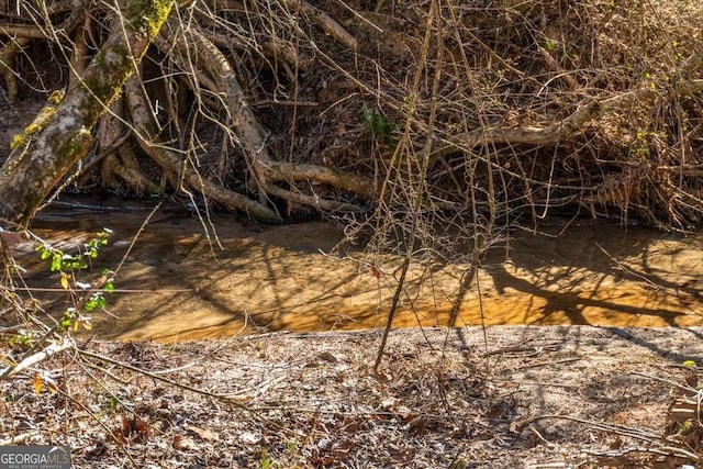 view of nature