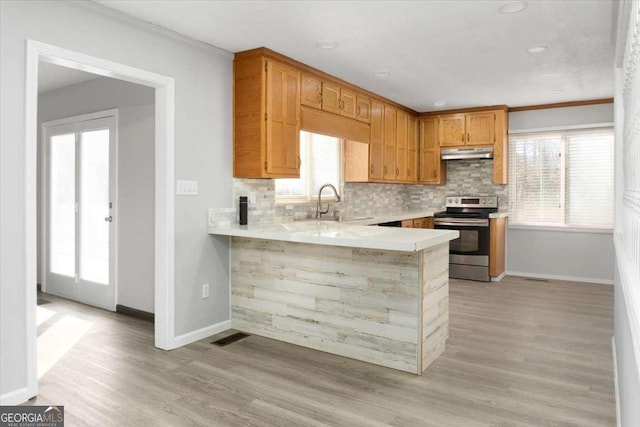 kitchen featuring stainless steel range with electric cooktop, tasteful backsplash, sink, kitchen peninsula, and crown molding