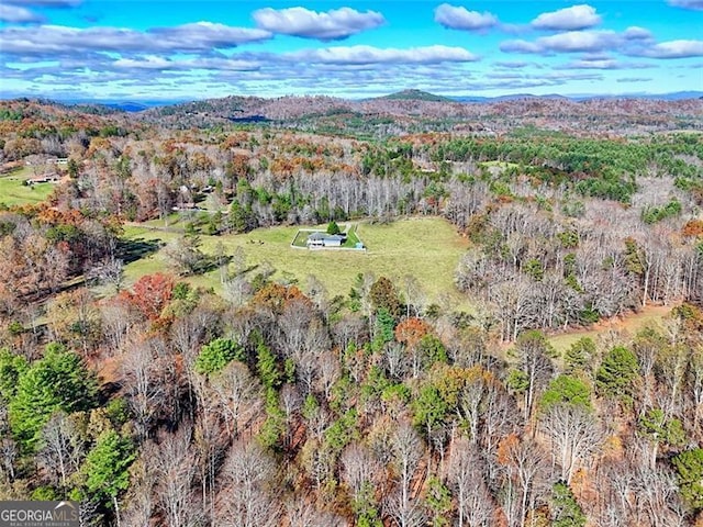 bird's eye view featuring a mountain view