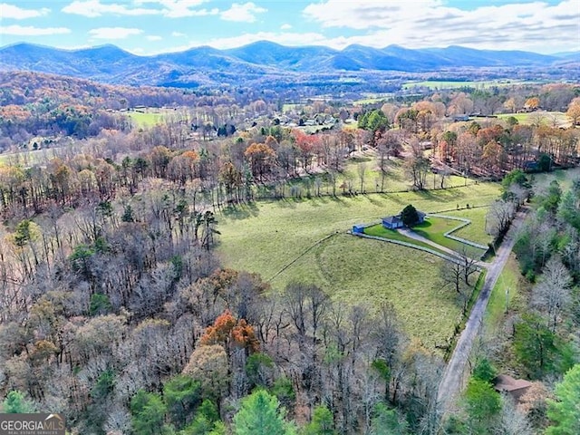 bird's eye view with a mountain view