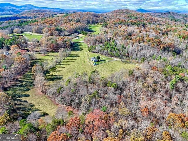 drone / aerial view featuring a mountain view