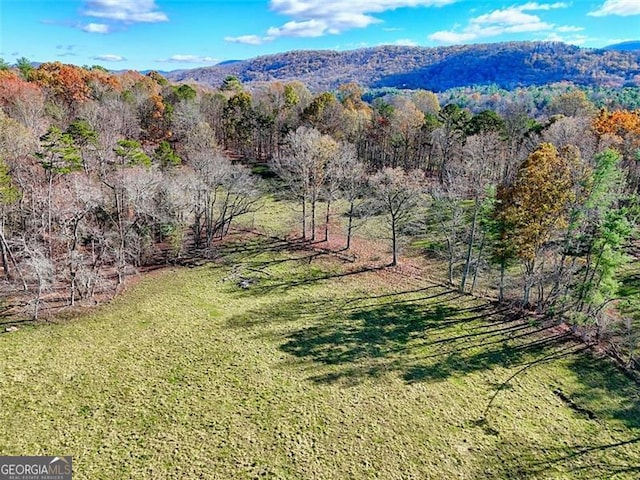 birds eye view of property featuring a mountain view