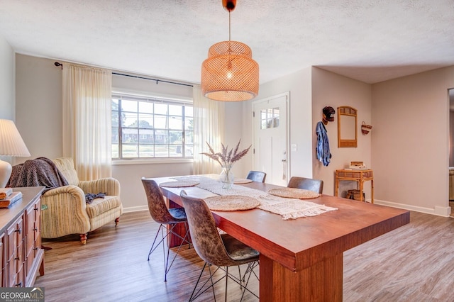 dining room featuring a textured ceiling and wood-type flooring