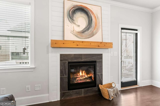 room details featuring crown molding, a fireplace, and wood-type flooring