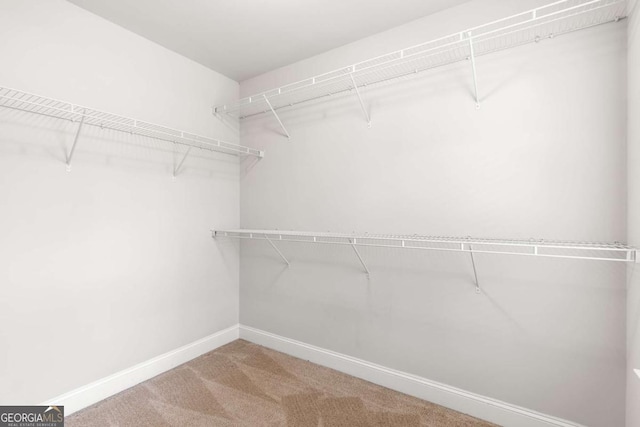 spacious closet with carpet