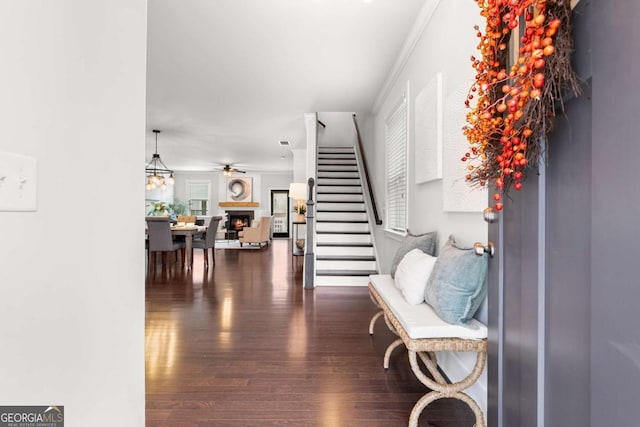 foyer entrance with ceiling fan with notable chandelier, dark hardwood / wood-style flooring, and crown molding