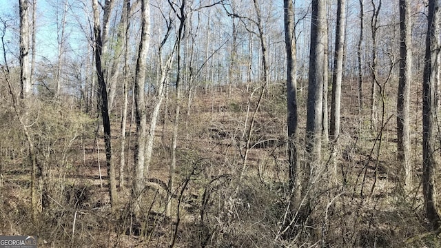 LOT1AND2 Tom Hunt Rd, Cleveland GA, 30528 land for sale