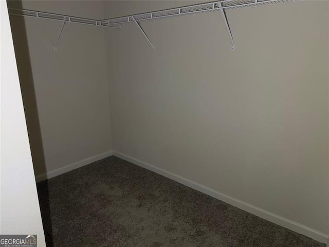 walk in closet with carpet