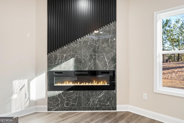 526 Whirlway St, Jefferson, GA 30549 - detailed view of baseboards, wood finished floors, and a premium fireplace