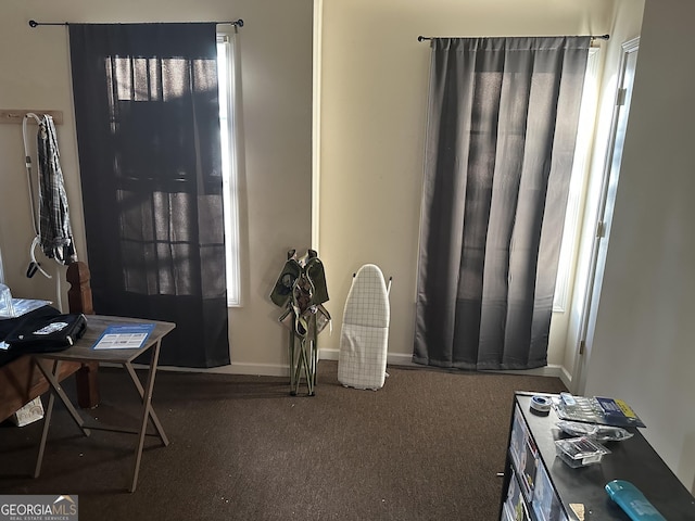 misc room with dark carpet