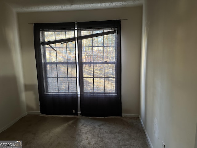 doorway with carpet floors and a textured ceiling