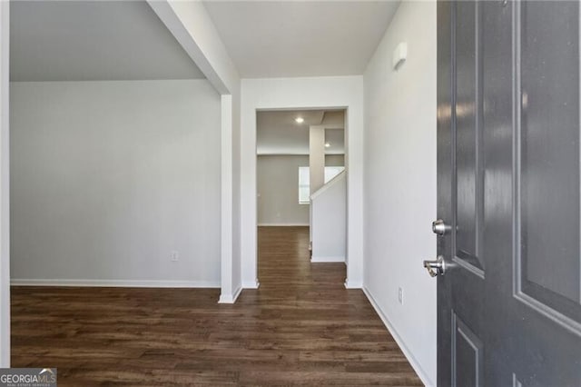 foyer entrance featuring dark wood-type flooring