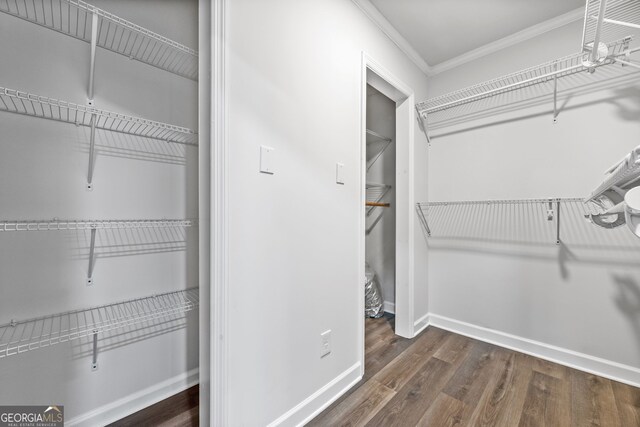 spacious closet featuring dark hardwood / wood-style floors