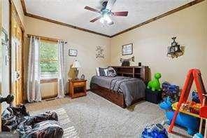 bedroom featuring carpet floors, ceiling fan, and ornamental molding