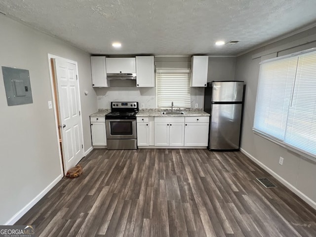 kitchen featuring under cabinet range hood, dark wood-style flooring, a sink, appliances with stainless steel finishes, and electric panel