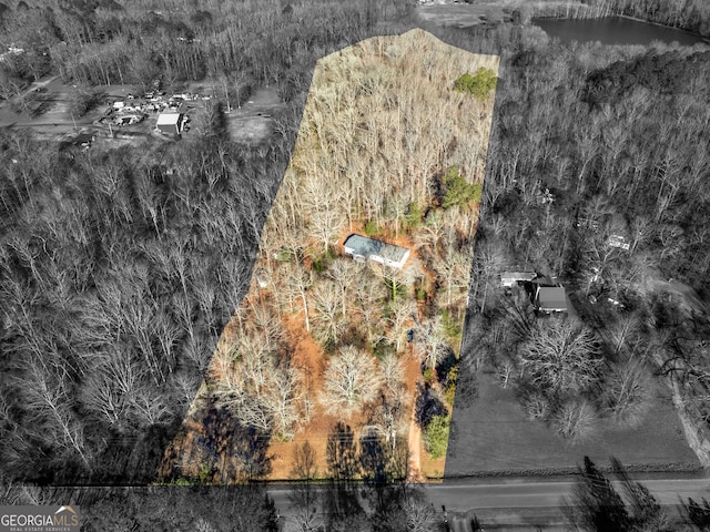 381 Martin Dairy Rd, Milner, GA 30257 - aerial view