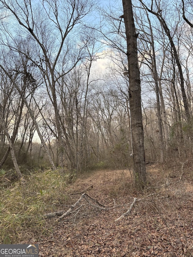 381 Martin Dairy Rd, Milner, GA 30257 - view of woods