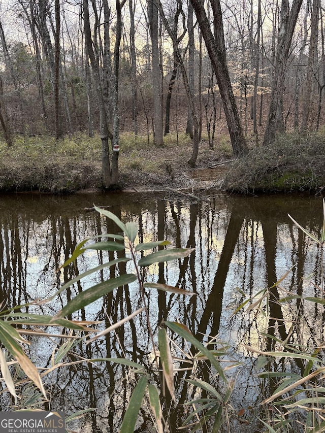 381 Martin Dairy Rd, Milner, GA 30257 - water view