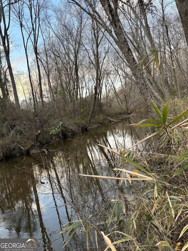 381 Martin Dairy Rd, Milner, GA 30257 - water view