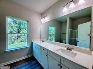 bathroom with vanity, hardwood / wood-style floors, and walk in shower