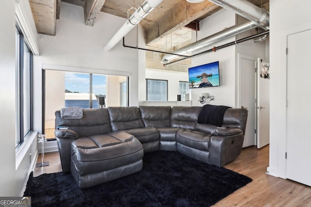 living room with a high ceiling and hardwood / wood-style floors