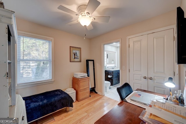 office with ceiling fan and light hardwood / wood-style flooring