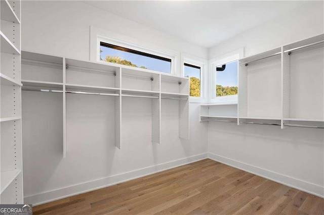 walk in closet with wood-type flooring