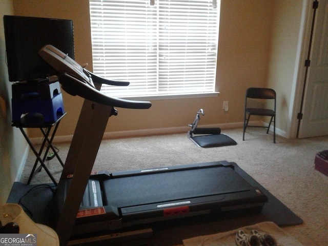 workout room featuring carpet