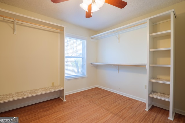 walk in closet featuring light wood-type flooring and ceiling fan