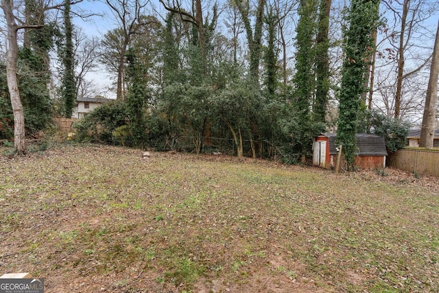 view of yard with a shed