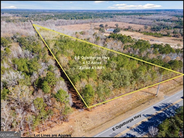 0 E Oglethorpe Hwy, Midway GA, 31320 land for sale