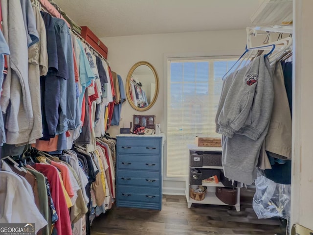 spacious closet featuring dark wood-type flooring