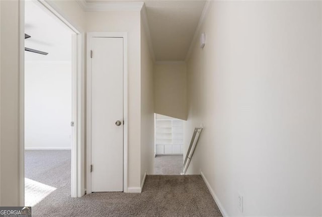 hallway featuring crown molding and carpet floors