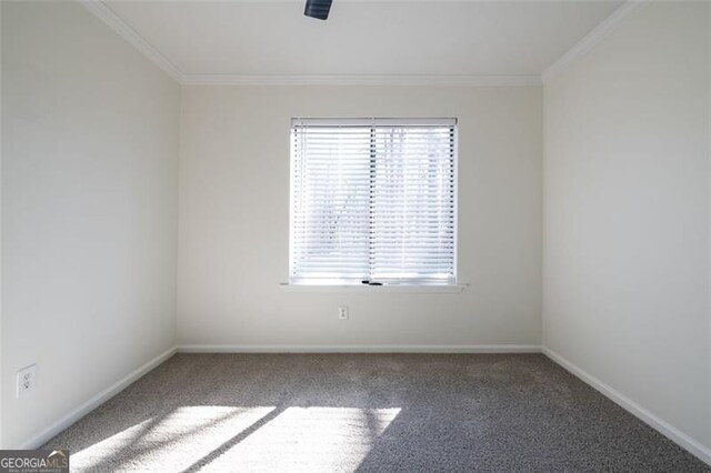 empty room with crown molding and carpet floors