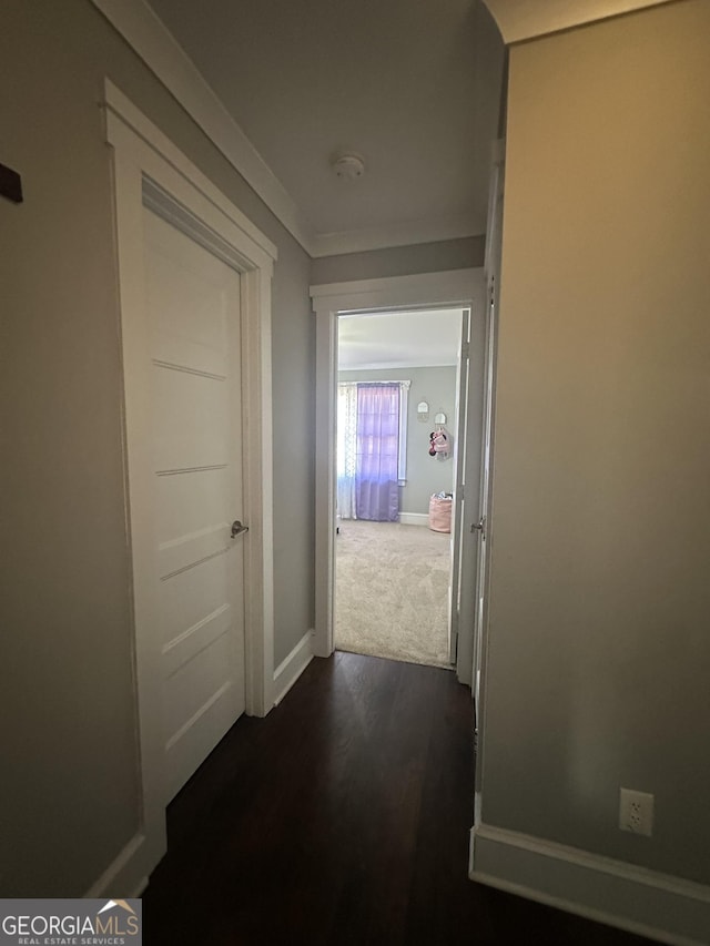 hallway with dark hardwood / wood-style flooring