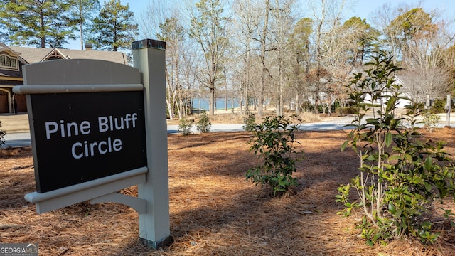 1010 Pine Bluff Cir, Greensboro, GA 30642