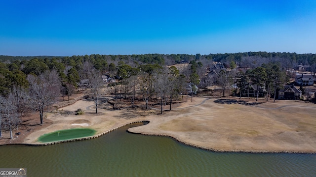 1010 Pine Bluff Cir, Greensboro, GA 30642