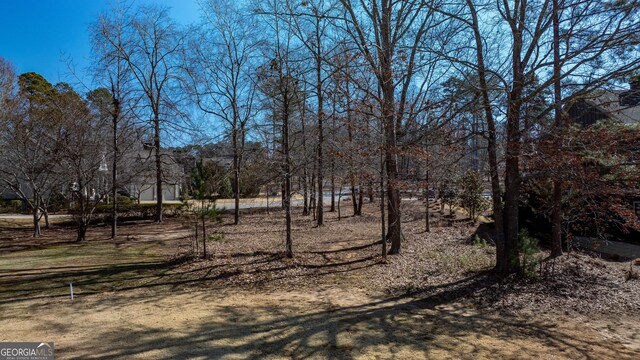 1010 Pine Bluff Cir, Greensboro, GA 30642