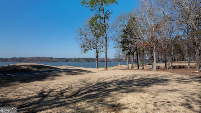1010 Pine Bluff Cir, Greensboro, GA 30642